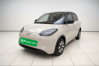 五菱汽车 五菱缤果 2023款 410km 灵犀尊享款