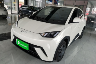 比亚迪 海鸥 2024款 荣耀版 305km 活力版