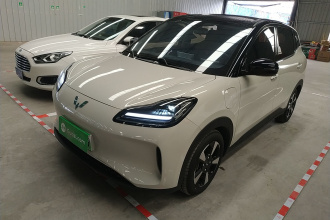 五菱汽车 五菱缤果PLUS 2024款 510km 五座版