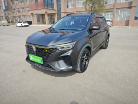 荣威RX5新能源 2021款 ePLUS 国潮荣麟豪华版