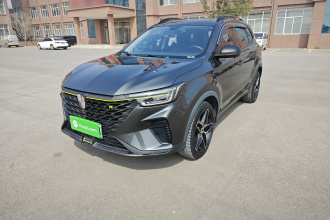 荣威RX5新能源 2021款 ePLUS 国潮荣麟豪华版