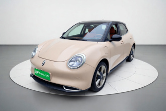 欧拉好猫 2021款 400km标准续航 维纳斯版 磷酸铁锂