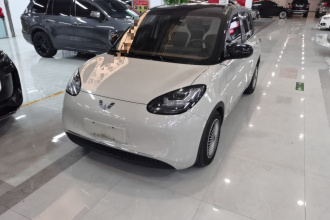 五菱汽车 五菱缤果 2023款 203km 舒享款