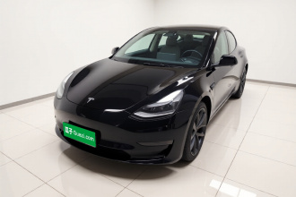 特斯拉 Model 3 2021款 改款二 Performance高性能全轮驱动版