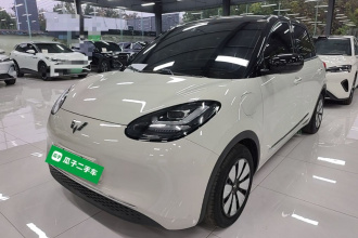 五菱汽车 五菱缤果 2023款 333km 悦享+款