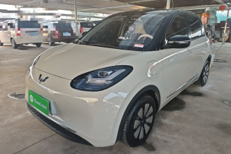 五菱汽车 五菱缤果 2024款 333km 悦享款