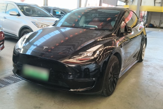 特斯拉 Model Y 2021款 标准续航后驱版