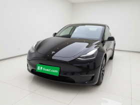 特斯拉 Model Y 2021款 Performance高性能全轮驱动版