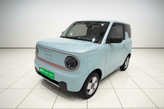 吉利银河 2024款 熊猫mini 200km 耐力熊