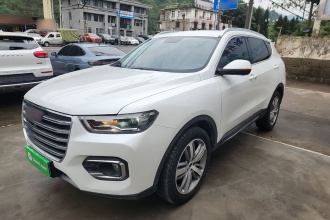 哈弗H6 2018款 红标 2.0T 自动豪华型
