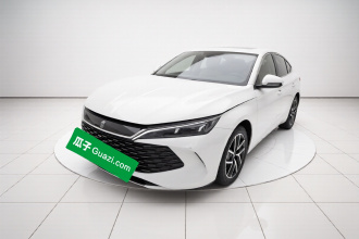 比亚迪 秦L 2024款 DM-i 80KM超越型