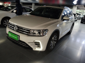 大众 途观L新能源 2020款 430PHEV 插电混动尊贵版