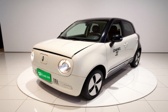 欧拉黑猫 2021款 301km 萌宠版