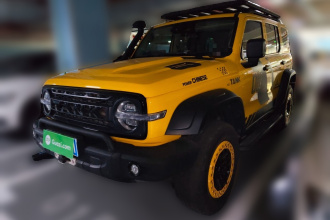 坦克300 2022款 2.0T 边境限定版