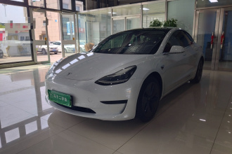 特斯拉 Model 3 2020款 改款 标准续航后驱升级版