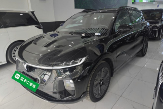 岚图汽车 岚图知音 2024款 四驱全球版