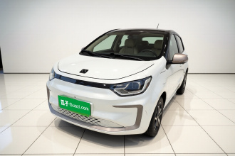 思皓 2022款 花仙子款 向日葵