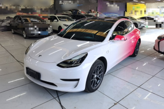 特斯拉 Model 3 2019款 标准续航后驱升级版