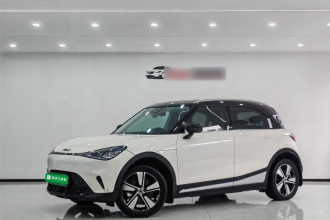 smart精灵#1 2024款 灵动标准版