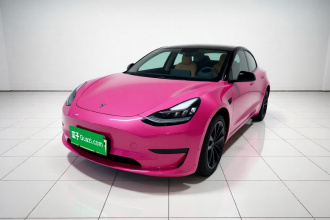 特斯拉 Model 3 2020款 标准续航后驱升级版