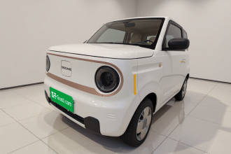 吉利银河 2024款 熊猫mini 200km 耐力熊