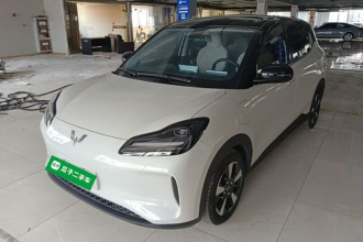 五菱汽车 五菱缤果PLUS 2024款 330km 五座版
