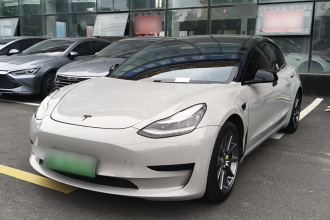 特斯拉 Model 3 2020款 标准续航后驱升级版