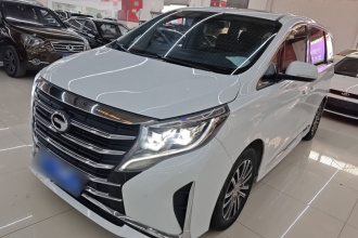 广汽传祺 传祺M8 2021款 领秀系列 390T 尊贵版