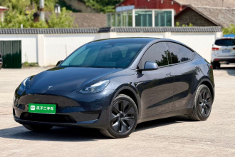 特斯拉 Model Y 2024款 后轮驱动版