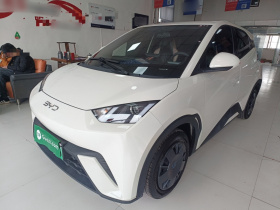 比亚迪 海鸥 2024款 荣耀版 305km 活力版