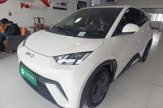 比亚迪 海鸥 2024款 荣耀版 305km 活力版