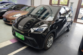 比亚迪 海鸥 2024款 荣耀版 305km 活力版