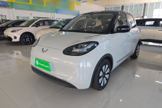 五菱汽车 五菱缤果 2024款 333km 悦享款