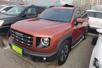 哈弗大狗 2021款 1.5T DCT两驱拉布拉多版