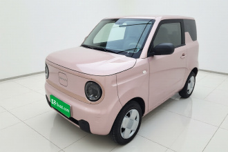 吉利银河 2024款 熊猫mini 200km 耐力熊