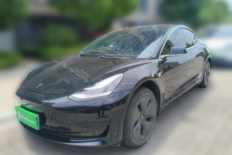 特斯拉 Model 3 2019款 标准续航后驱升级版