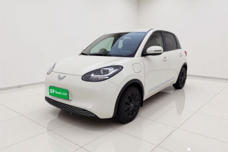五菱汽车 五菱缤果 2024款 203km 轻享款