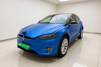 特斯拉 Model X 2019款 长续航版