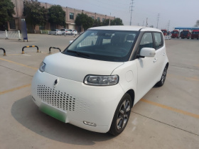 欧拉白猫 2020款 305km 豪华型