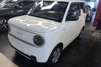 吉利银河 2024款 熊猫mini 200km 耐力熊