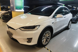 特斯拉 Model X 2019款 Performance 高性能版