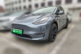 特斯拉 Model Y 2021款 长续航全轮驱动版