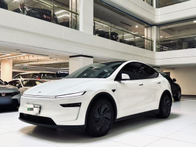 特斯拉 Model Y 2025款 改款 长续航全轮驱动版