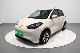 五菱汽车 五菱缤果 2023款 203km 舒享款