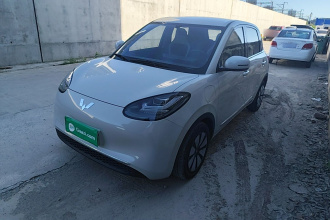 五菱汽车 五菱缤果 2024款 333km 悦享款