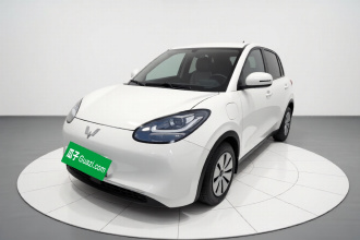 五菱汽车 五菱缤果 2024款 203km 轻享款