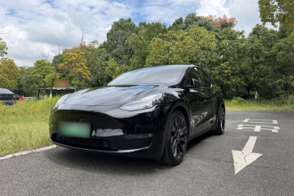 特斯拉 Model Y 2022款 Performance高性能全轮驱动版