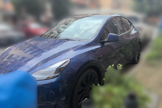 特斯拉 Model Y 2022款 Performance高性能全轮驱动版