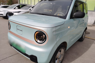 吉利银河 2024款 熊猫mini 200km 耐力熊