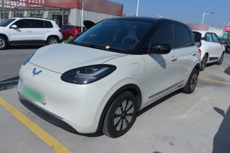 五菱汽车 五菱缤果 2024款 333km 悦享款